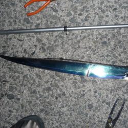 両隣は釣れてるのに。。