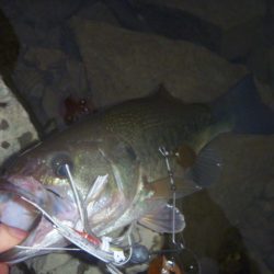 やっぱりスロー