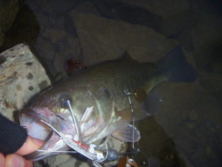 やっぱりスロー