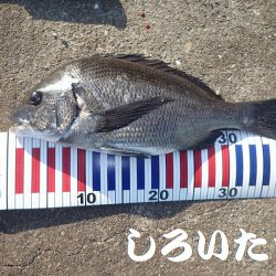 短時間で、良く釣れました。