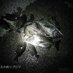 秋の上物釣り