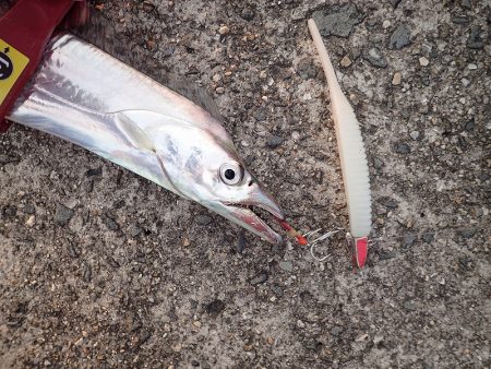 でたっ！120cm超え！！