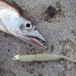 ギリギリ超えた(^^)