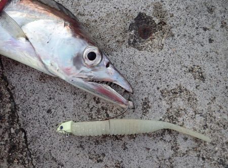 ギリギリ超えた(^^)