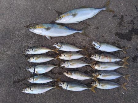 爆釣モード突入