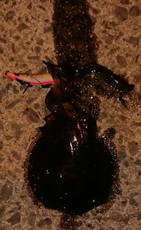 宇宙人シリーズ