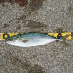 セットアッパー2