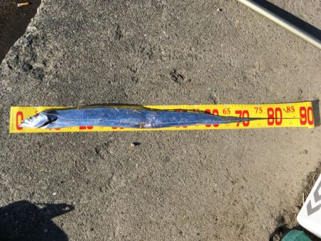 舞洲・夢舞大橋下のタチウオ＆デカアジ