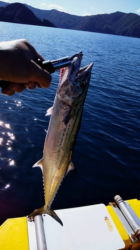 ボートエース出撃！