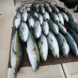 大物釣果速報！●光義丸：平戸市早福港