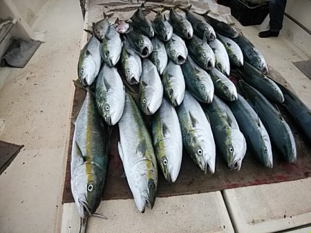 大物釣果速報！●光義丸：平戸市早福港