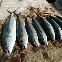 大物釣果速報！●光義丸：平戸市早福港