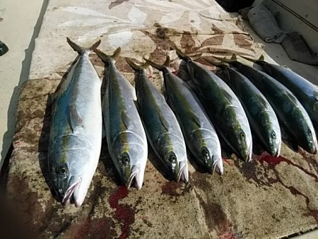 大物釣果速報！●光義丸：平戸市早福港