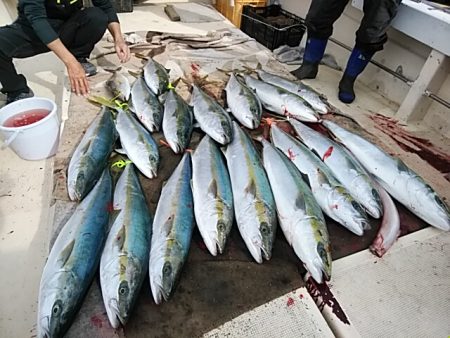 大物釣果速報！●光義丸：平戸市早福港