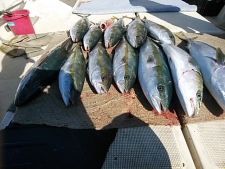 大物釣果速報！●光義丸：平戸市早福港