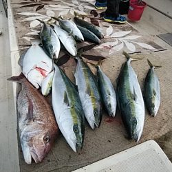 大物釣果速報！●光義丸：平戸市早福港