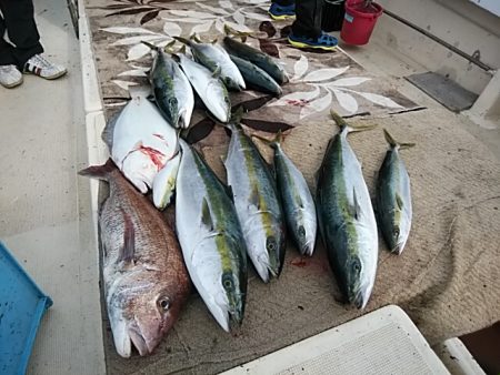 大物釣果速報！●光義丸：平戸市早福港