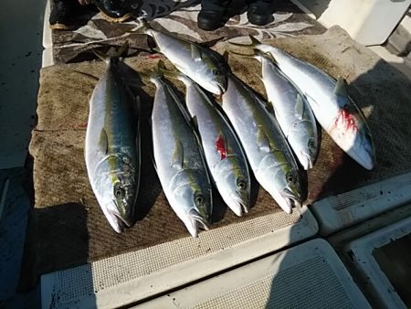 大物釣果速報！●光義丸：平戸市早福港