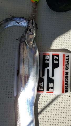 遊漁船 ニライカナイ 釣果