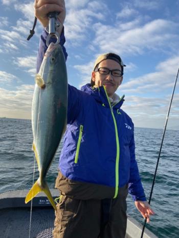 シーマジカル 釣果