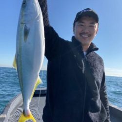 シーマジカル 釣果