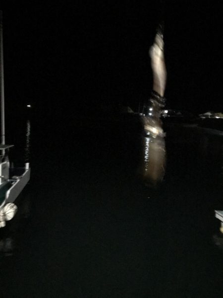 激シブでも大潮の南紀串本でエギング、アオリイカ釣果