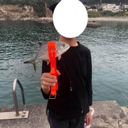 連休にサビキとエギングを楽しむファミリーフィッシング