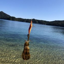 14時間滞在釣行