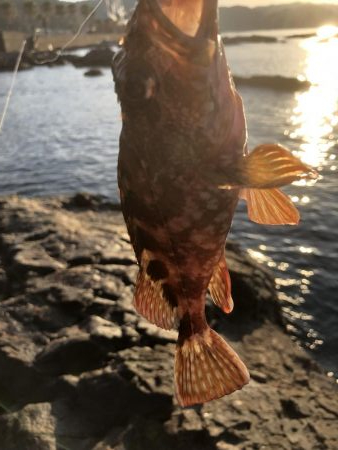 ショアジギング