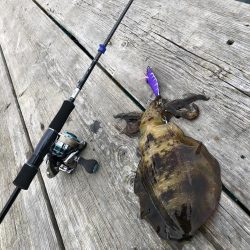 筏で試験釣行！