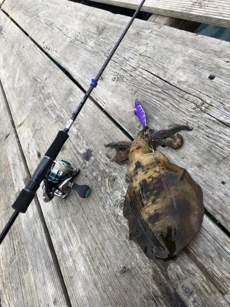 筏で試験釣行！