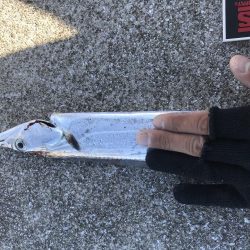 某youtuberさんが来ていたみたいなので