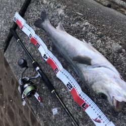 波打ち際のバイト