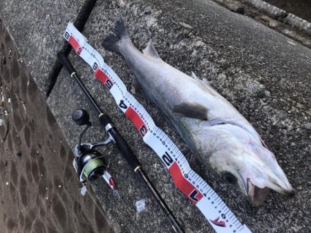 波打ち際のバイト