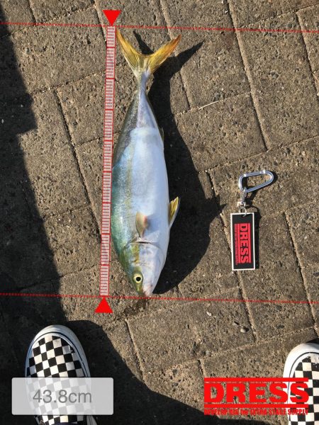 荒れた状態のコスモは釣れりのか