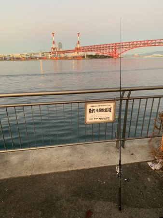 湾奥にたまっている様子