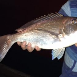 メバリングセットを買って初めてのメバリングで、、、