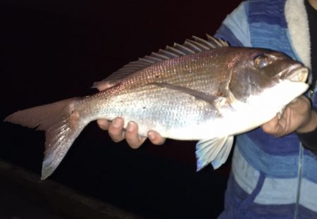 メバリングセットを買って初めてのメバリングで、、、