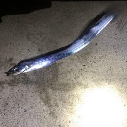 初のポイントで