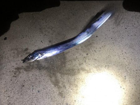 初のポイントで