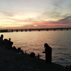 タチウオ釣れた（お隣さん）