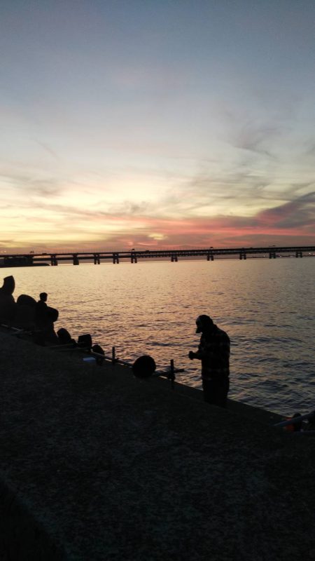 タチウオ釣れた（お隣さん）