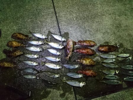 伊方~三机アジングランガン