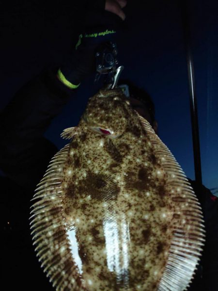 サーフヒラメ シーズン到来!?