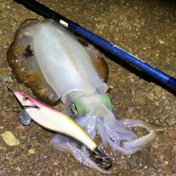 変化がある場所