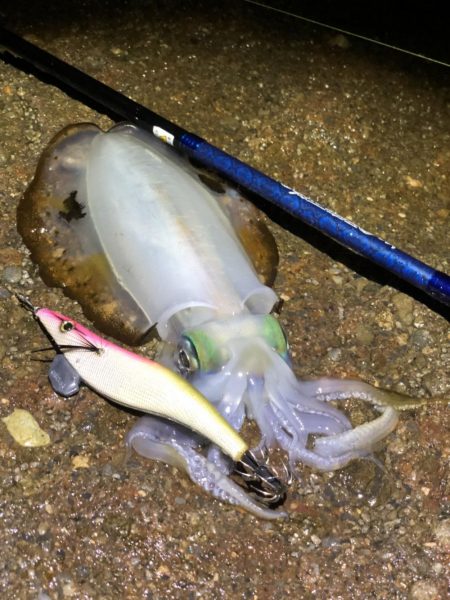 変化がある場所