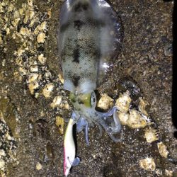 時間限定の場所