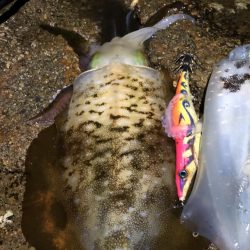 前日に引き続き