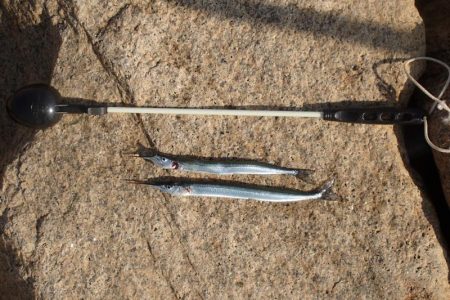 冷え込みの影響？