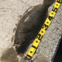 ジグでヒラメ!!